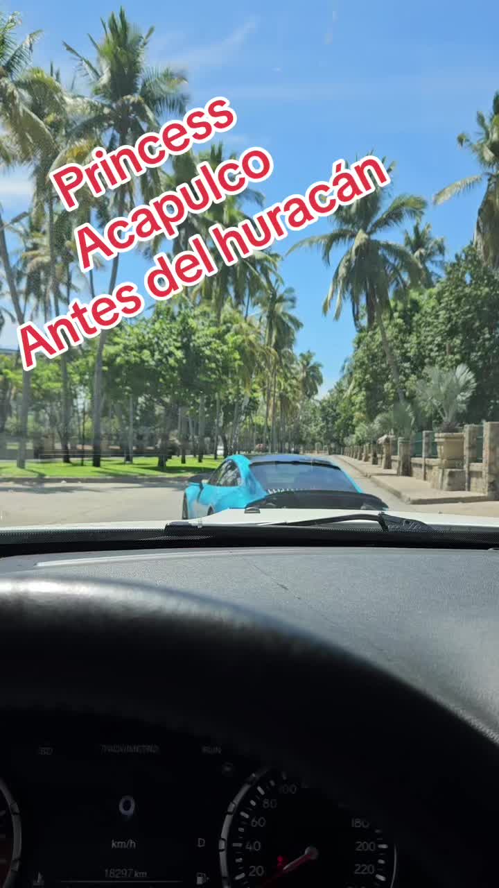 @Camila Cubillos
