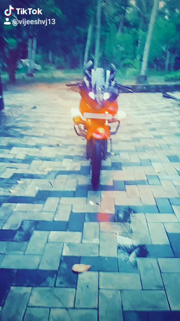 @Vijeesh VJ