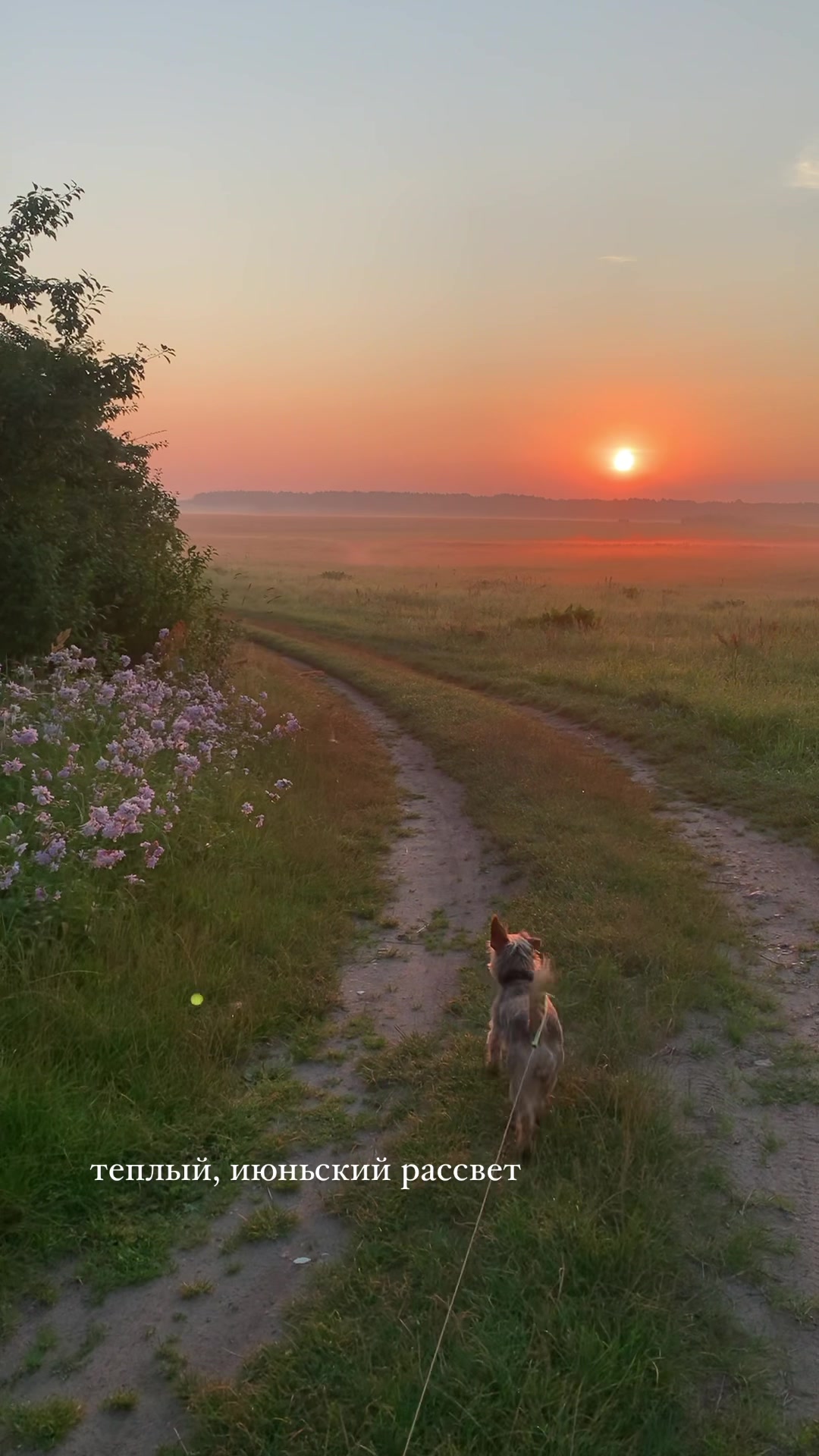 @настя
