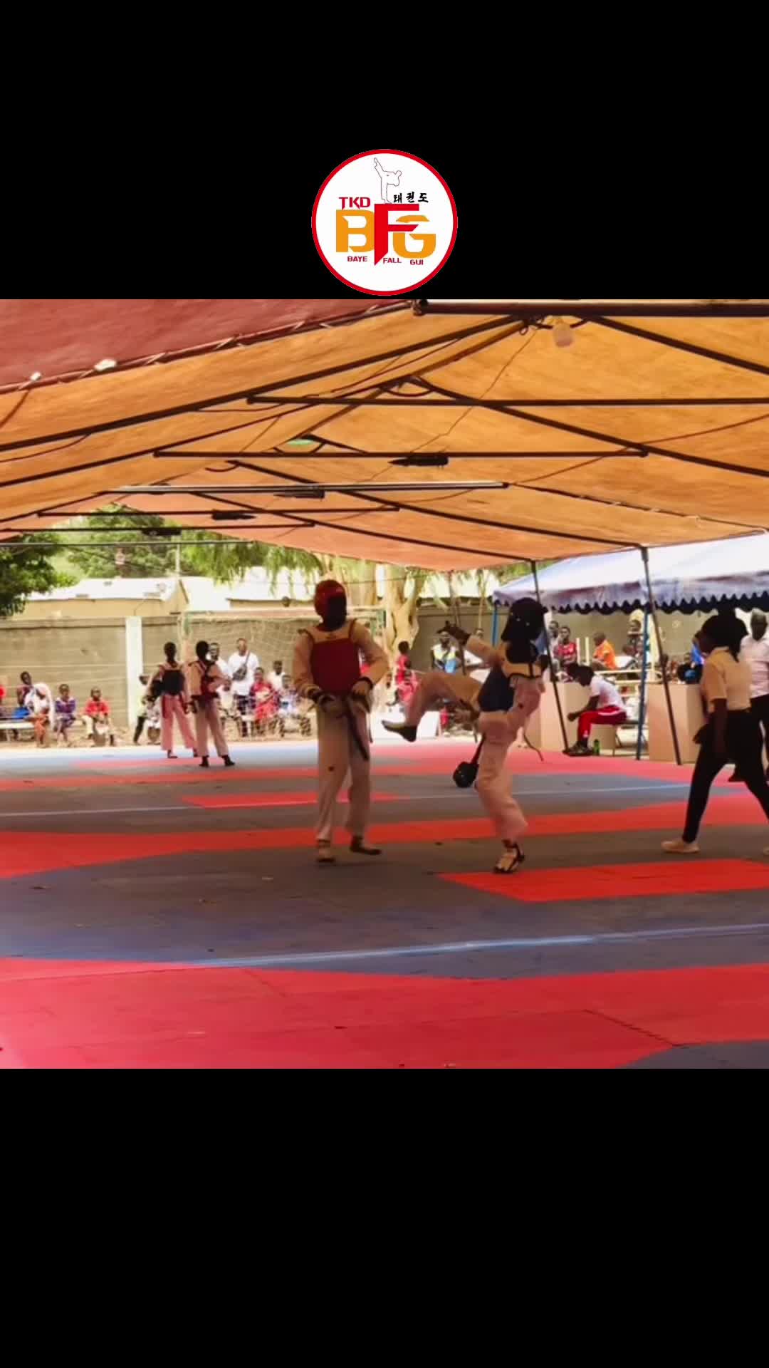 @B.F.G.bayefallgui