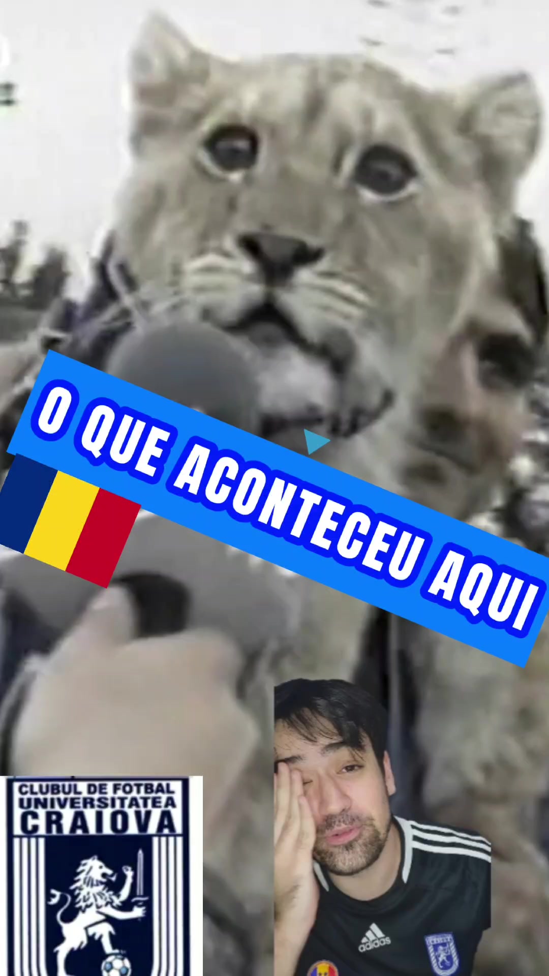 @Jo&atilde;o V&iacute;tor Roberge
