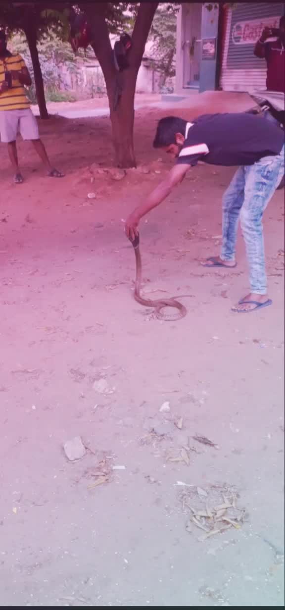 @SUHEL__07