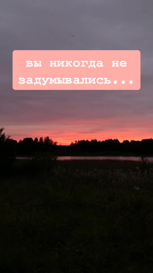 @та самая кимм 🐙
