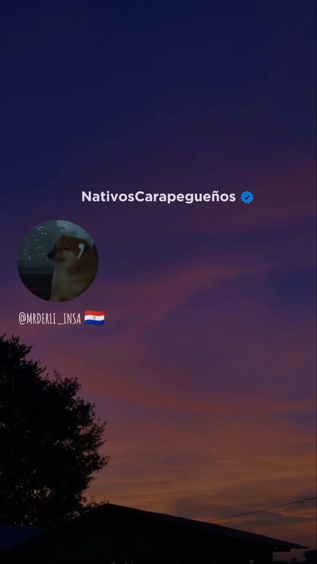 @ᴅᴇʀʟɪs ɪɴsᴀᴜʀʀᴀʟᴅᴇ
