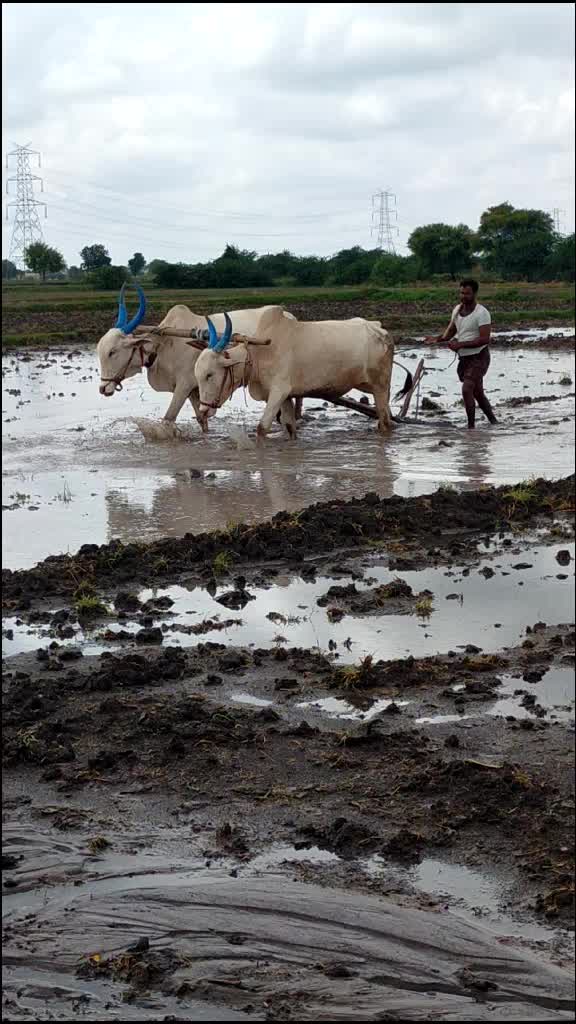 @user2673801643757