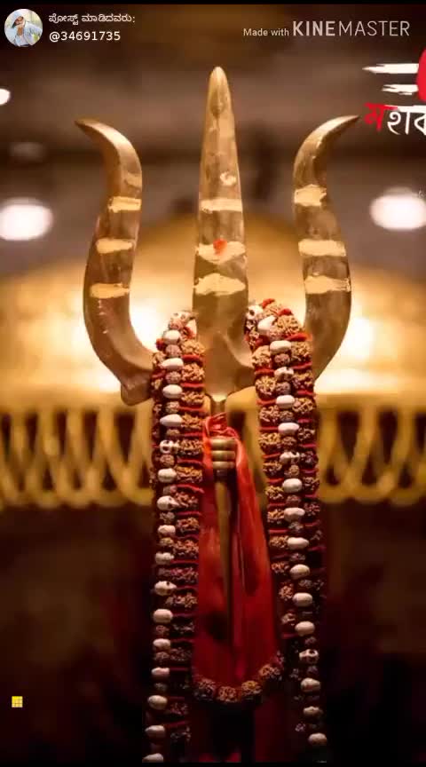 @user80337348541