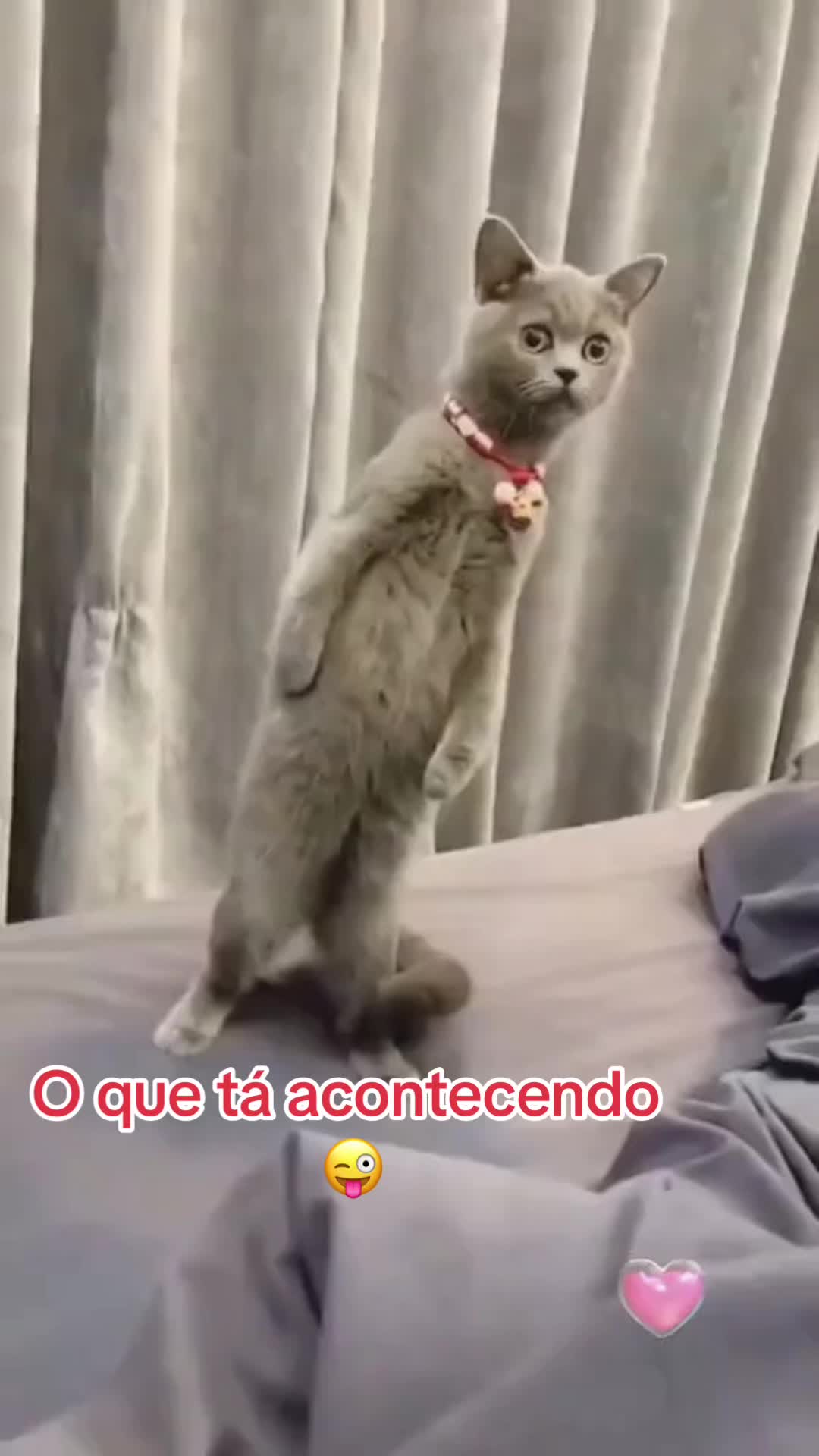 @tutti_ale