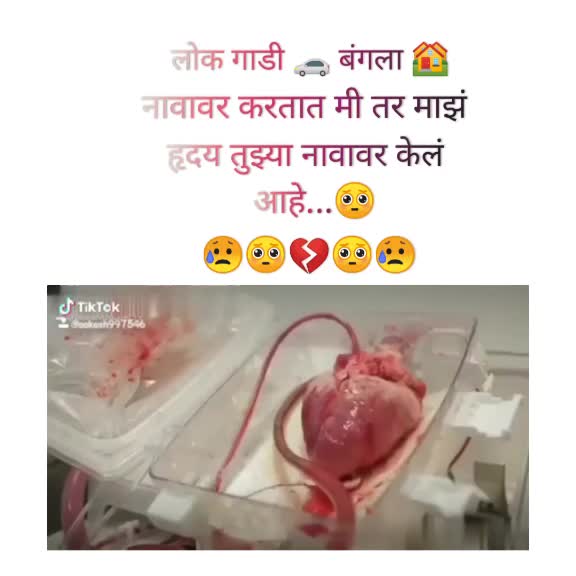 @✨⚡aniruddha⚡✨