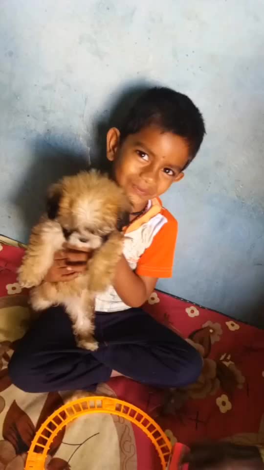 @Arasu Allex