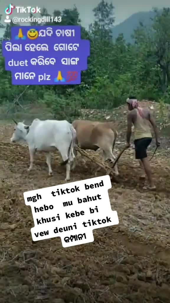 @dillip pradhan