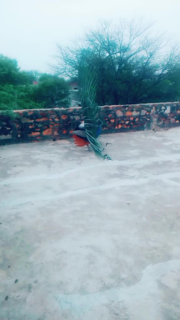 @user2706084134984