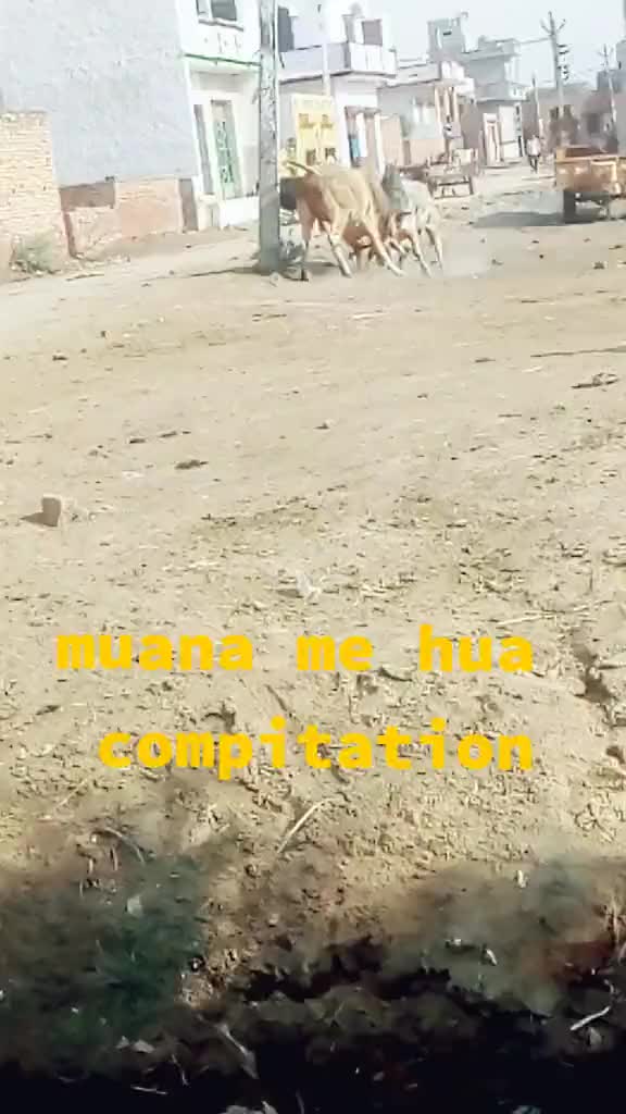 @sahil pandit munana