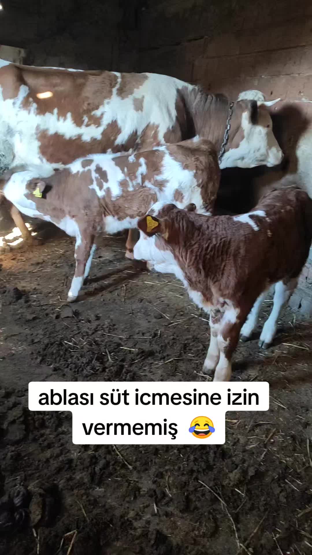 @Emir