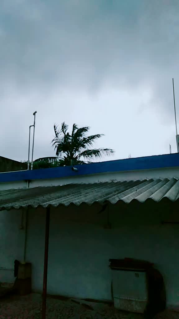 @•MAHI•