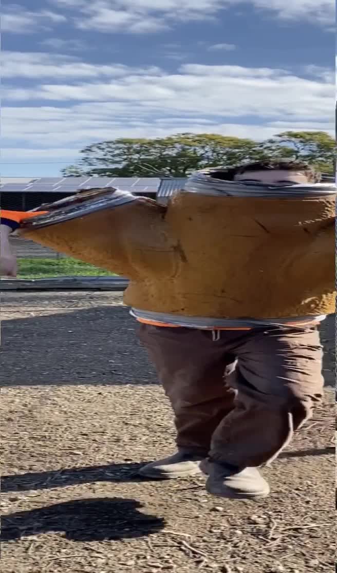 @Jeff and big spaghet