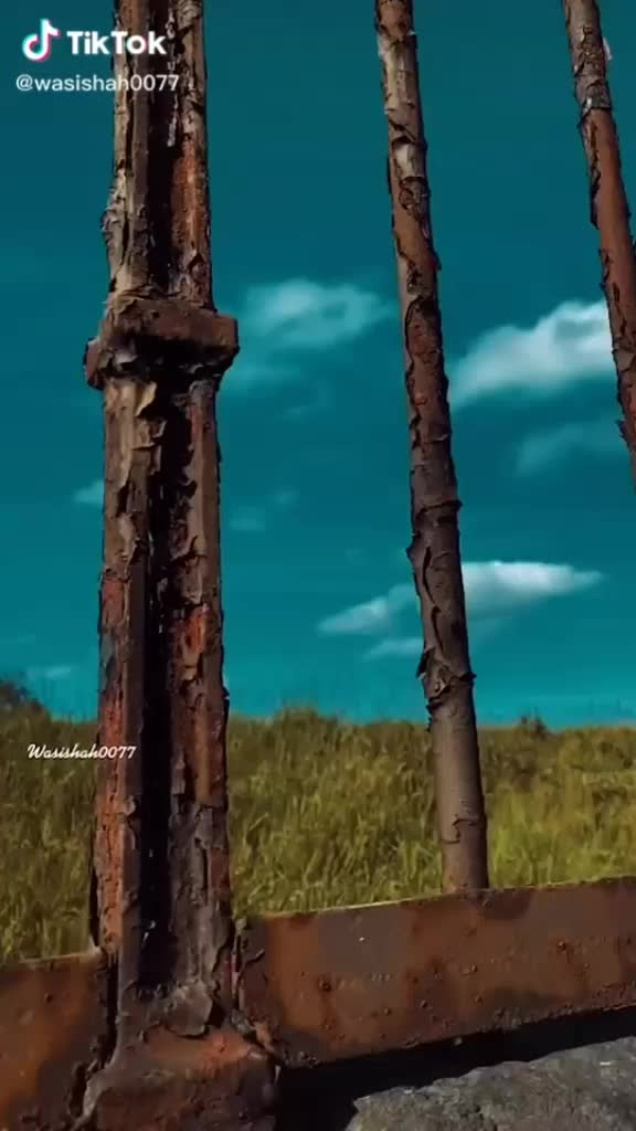 @user96339959498