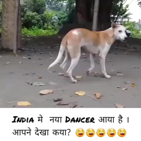 @__aryan__