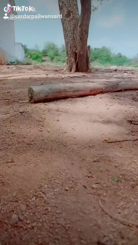 @Sardar Pailwan