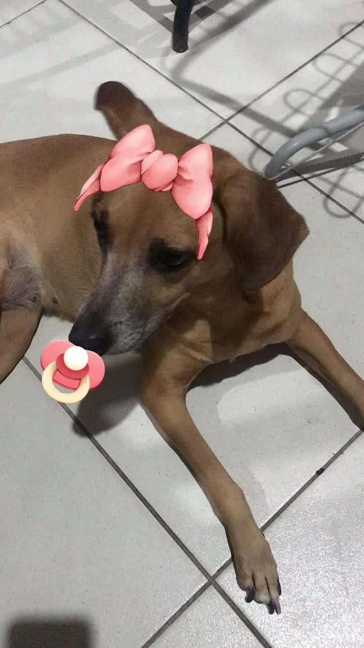 @Elenilde Ramos