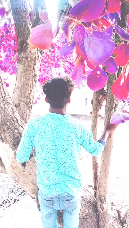 @Raj Nayak pawar 786