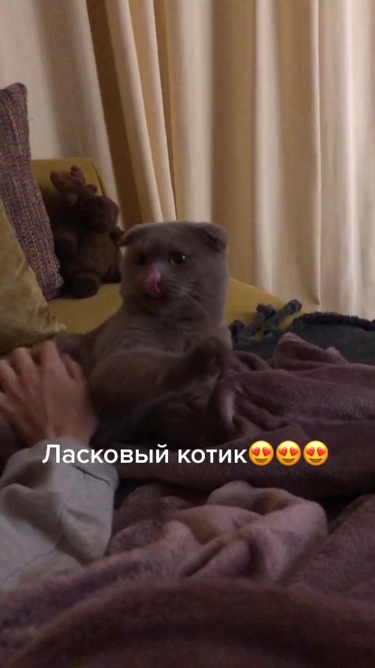 @Дарья Николаева