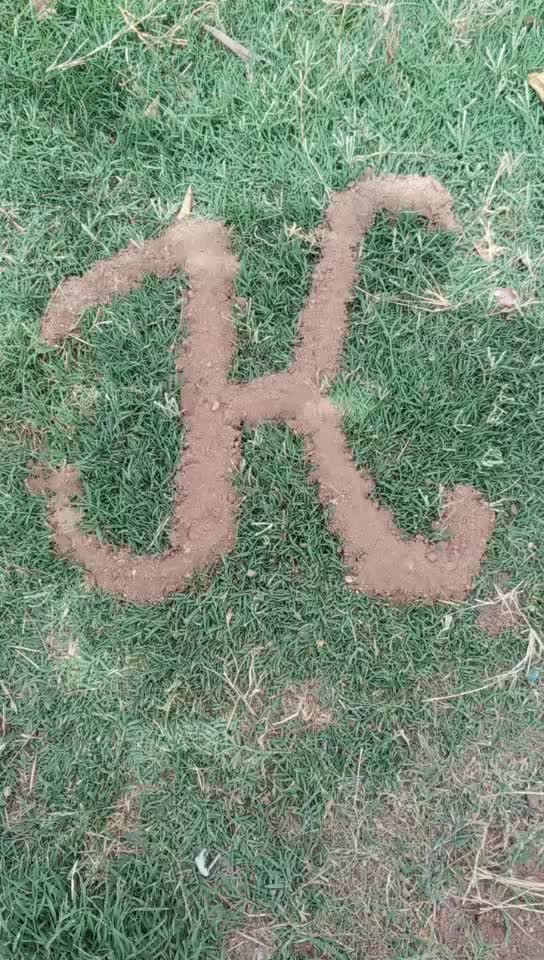 @kishan thakor 5544