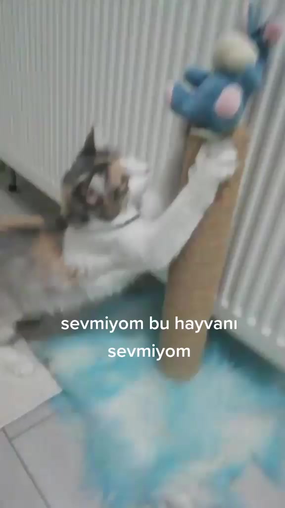 @kubraaharun