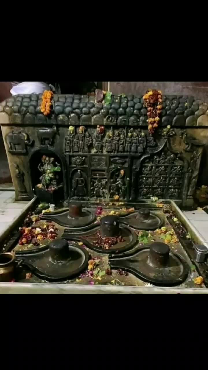 @user86774139773