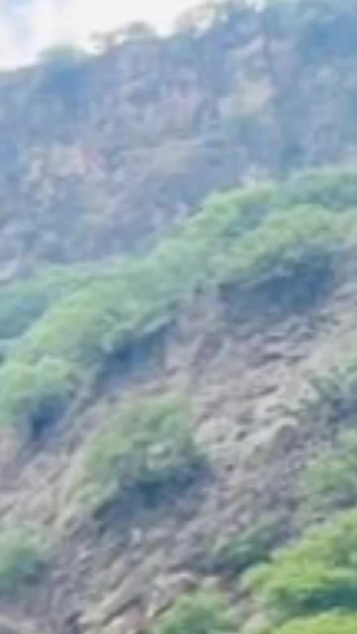 @💥آریان_بھٹی🦁