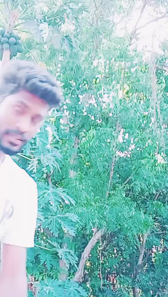 @Sri Kutty