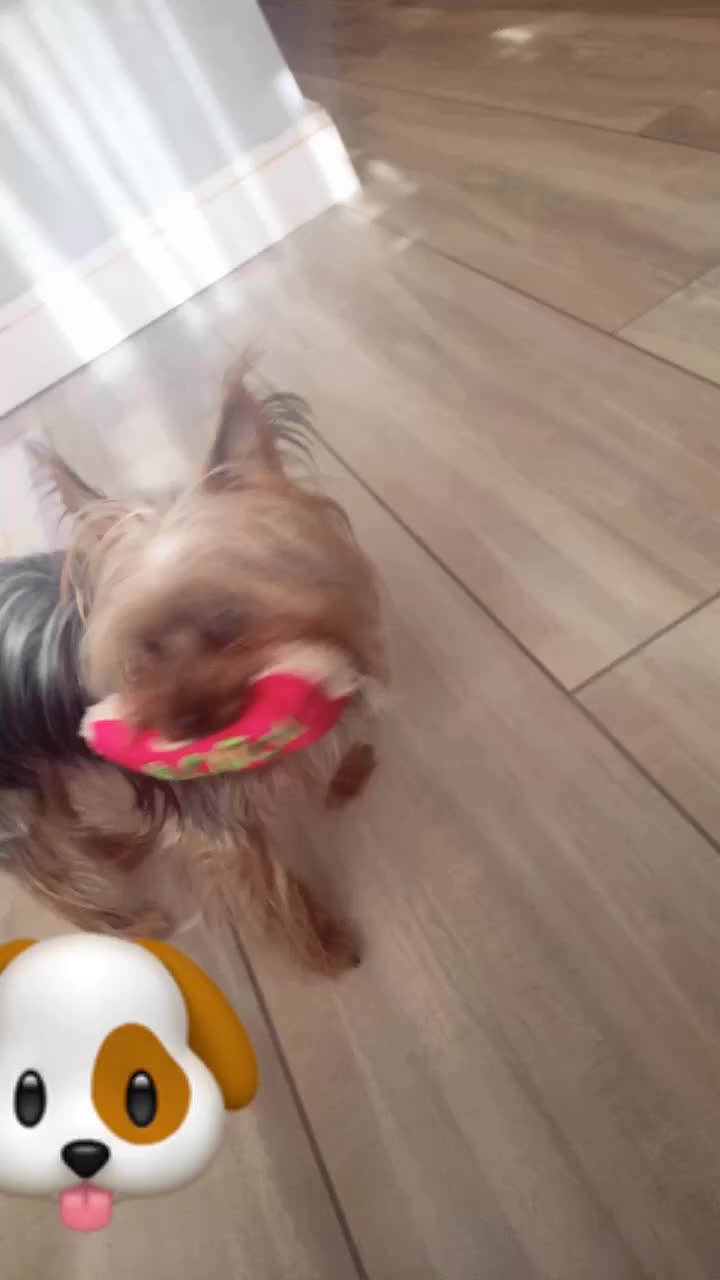 @Lulu🎈😍😇
