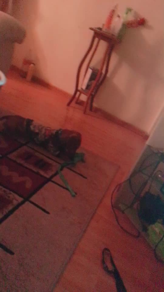 @user32232614785