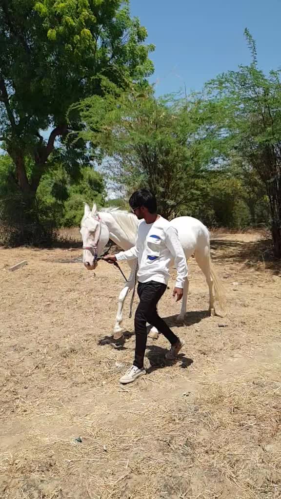 @virat thakor