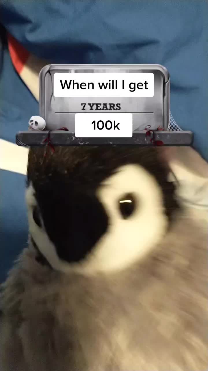 @ThePenguinRob