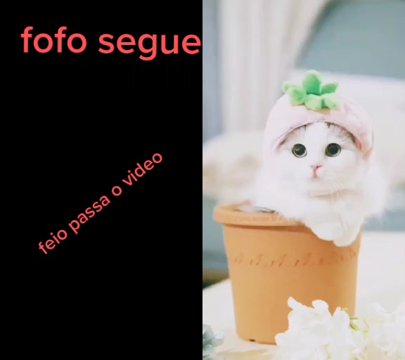 @Flakespowerfans