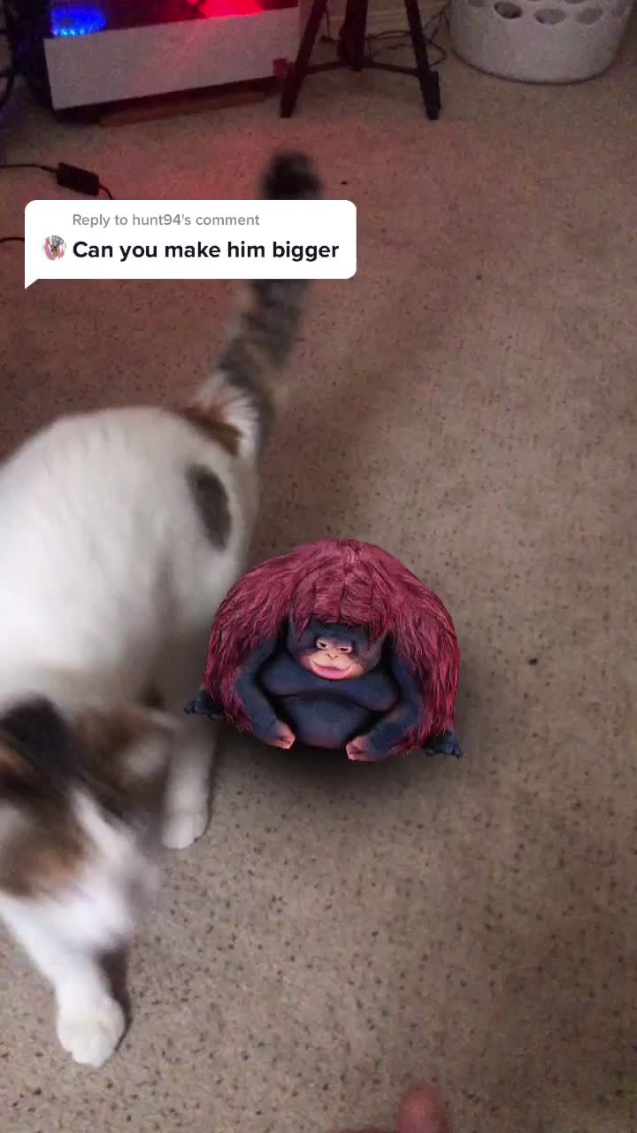 @user8469326748087