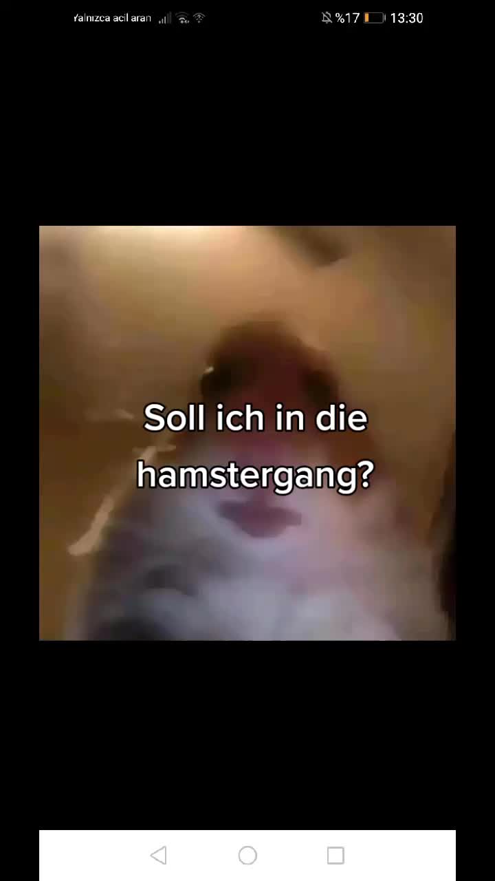 @Mustihaft_2002_