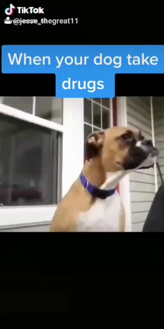 @Jess_thegreat11