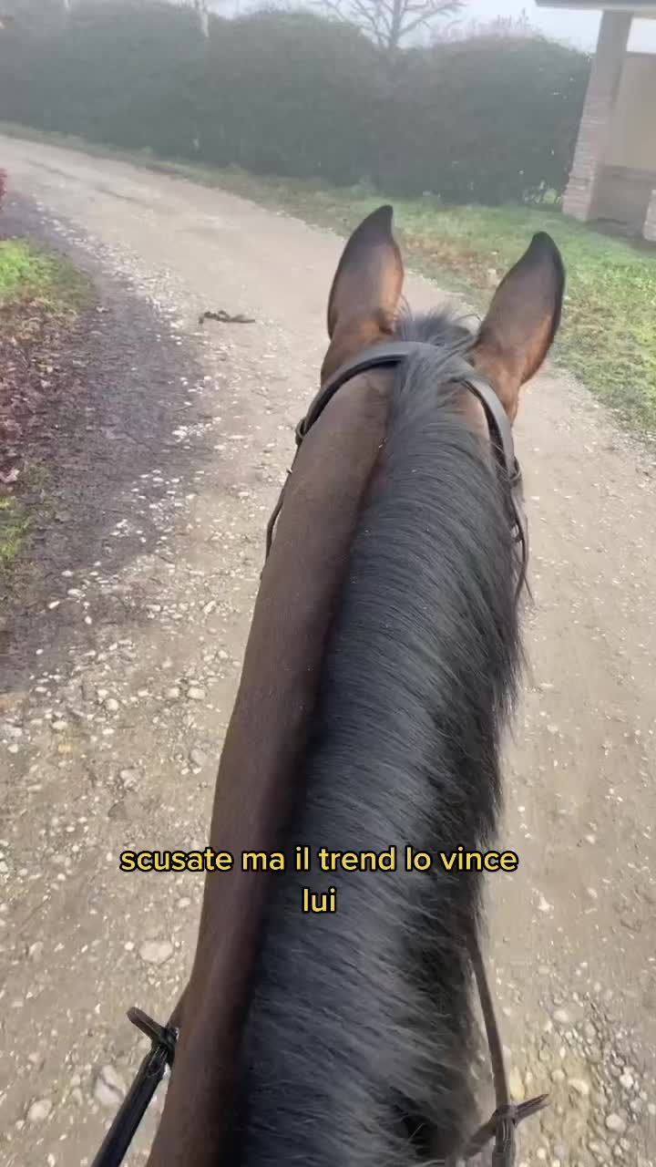 @Laa. Vasaturo 🦈