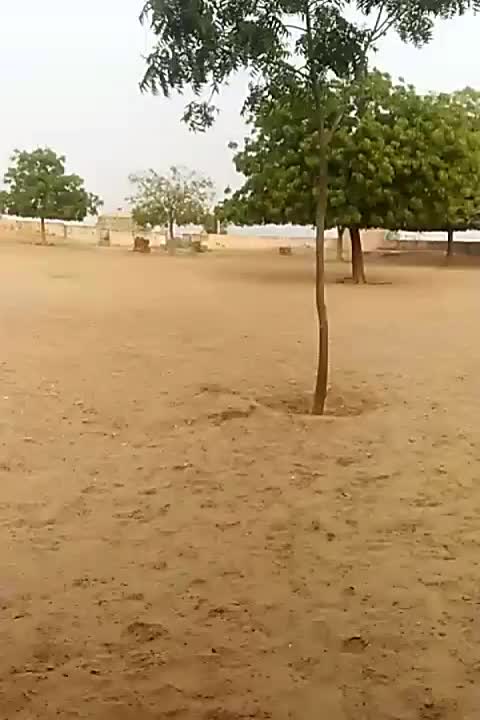 @bhomaram suthar