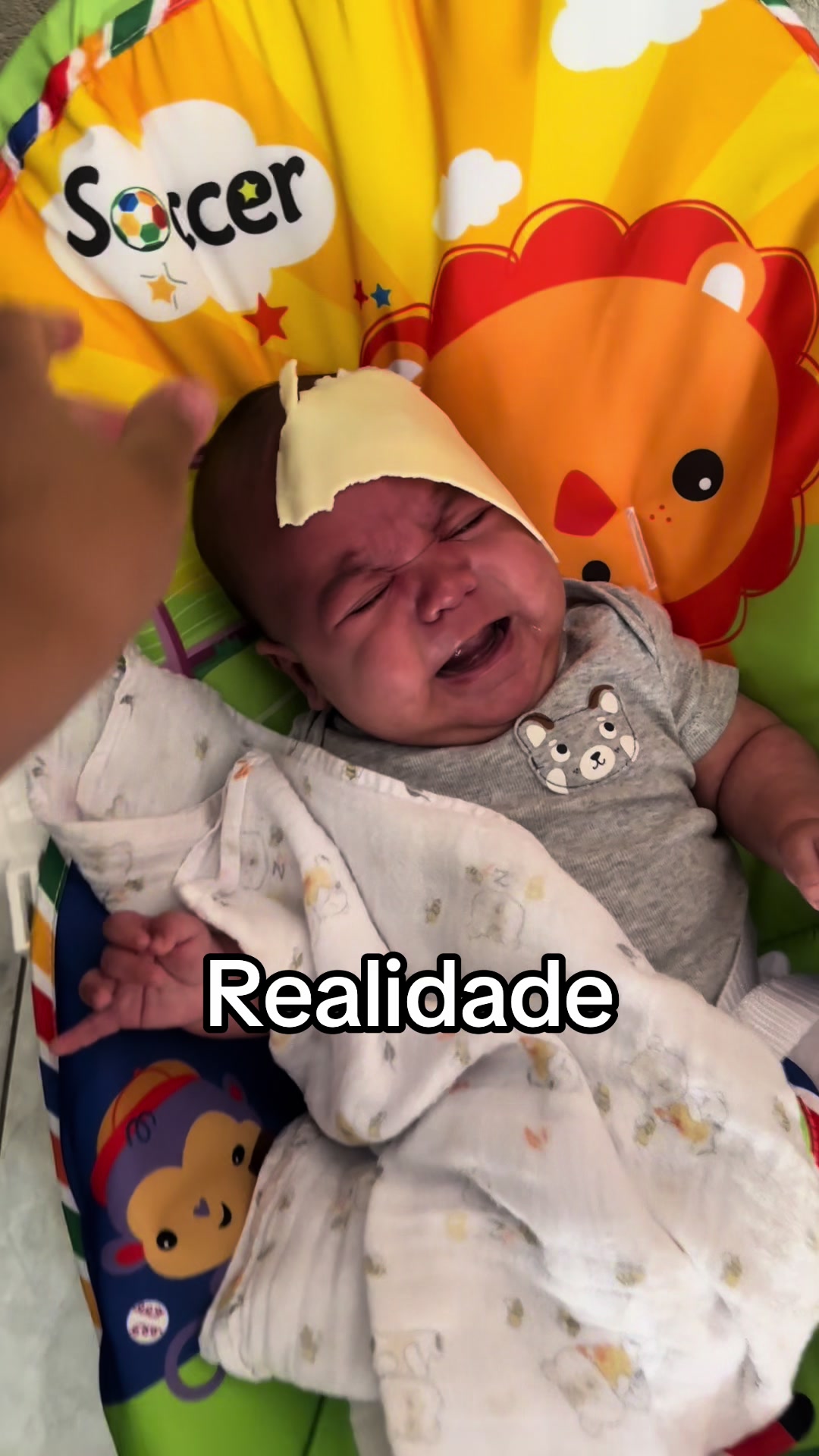 @Fernanda Ribeiro