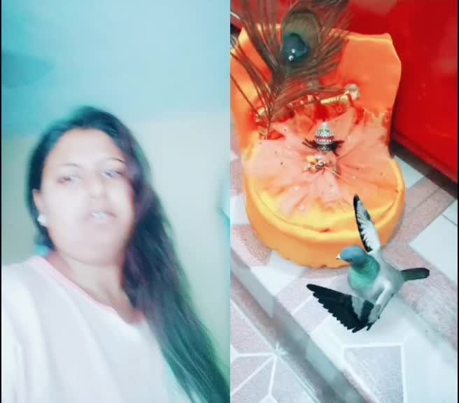 @user9136021675456