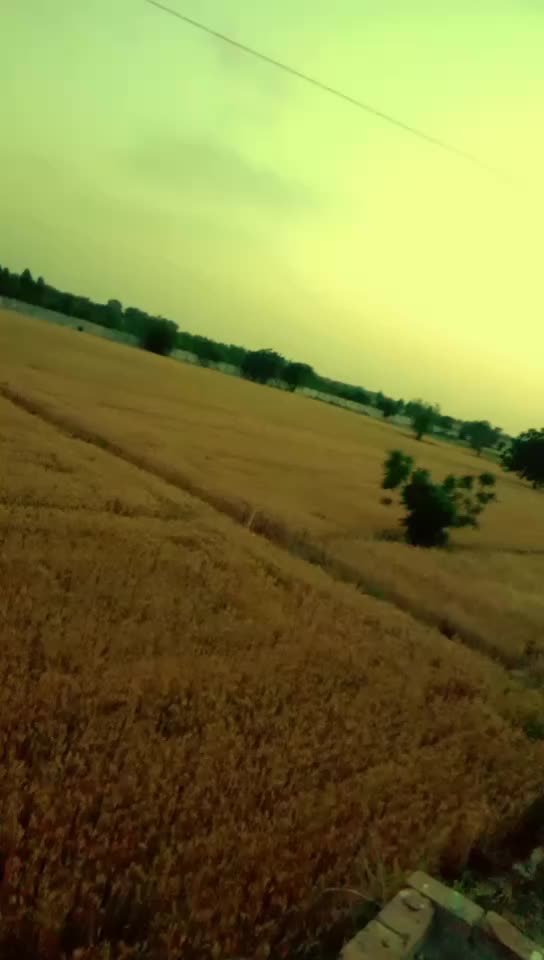 @Sarbjeet Singh