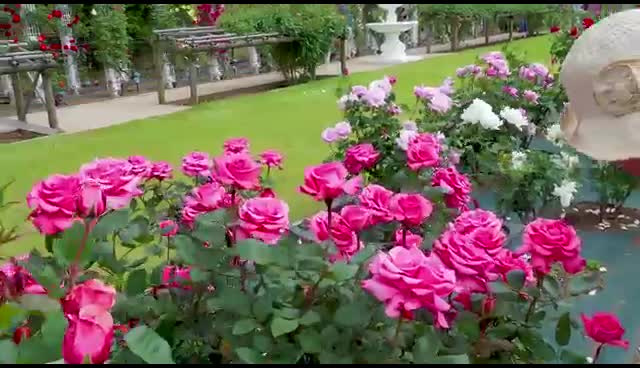 @Latha P