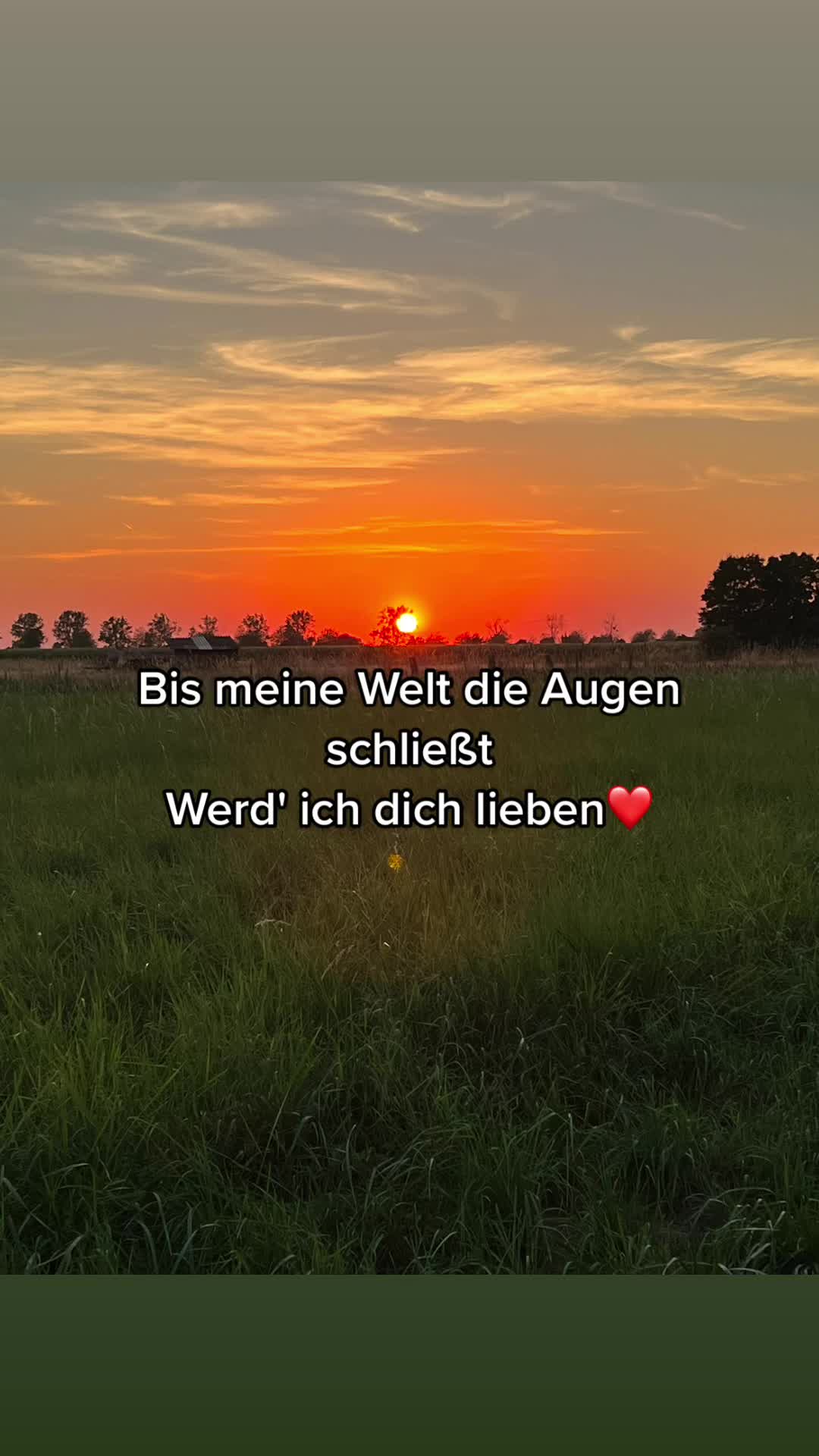 @Lisapoldi