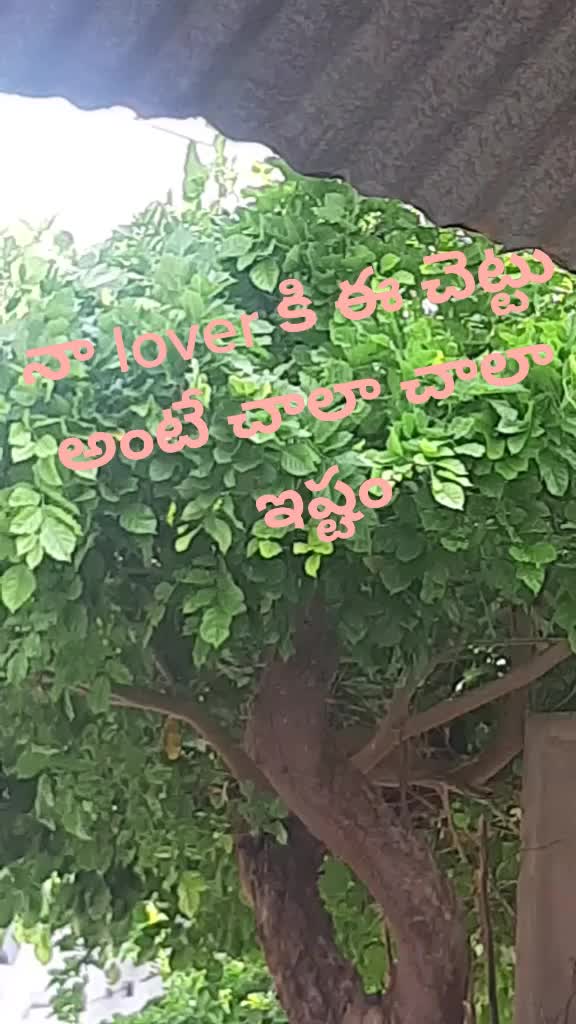 @శ్రీనివాస్