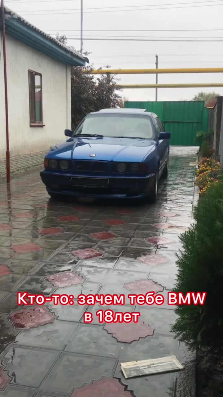 @david_mamedov_20