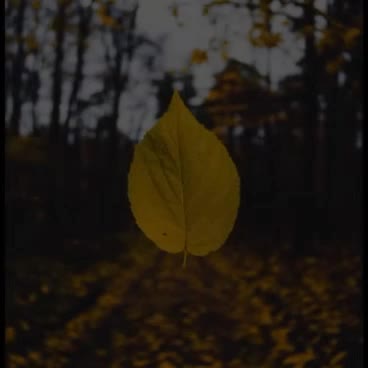 @H&auml;l&aring;w&atilde;tt &Auml;D&ocirc;ny&auml;