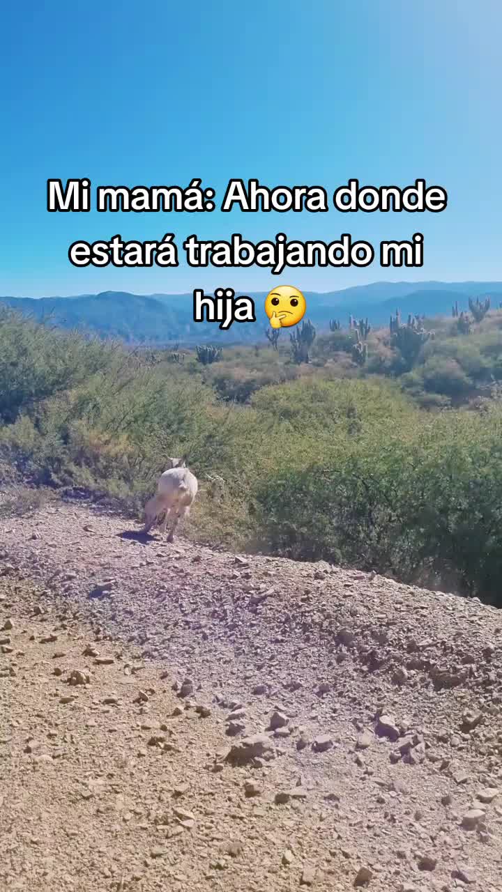 @Gaby Susy