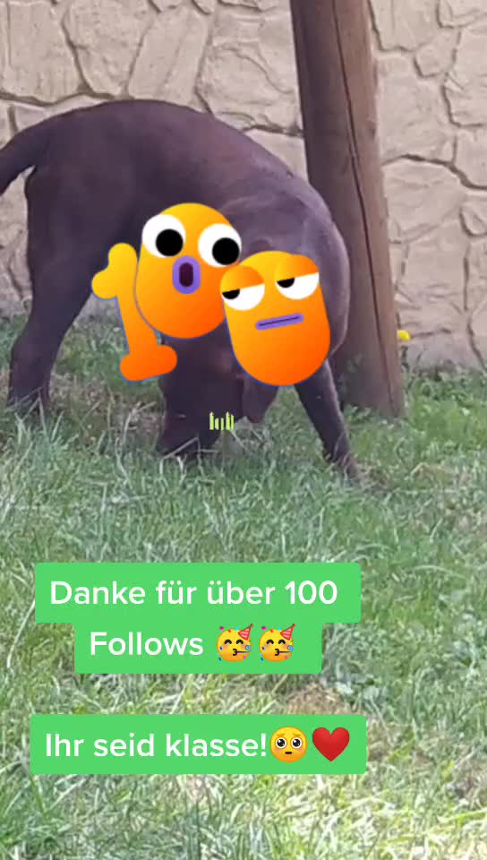 @Eyyyyy 😂